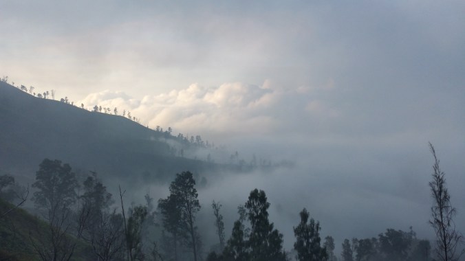 20150809_010415_Richtone(HDR)