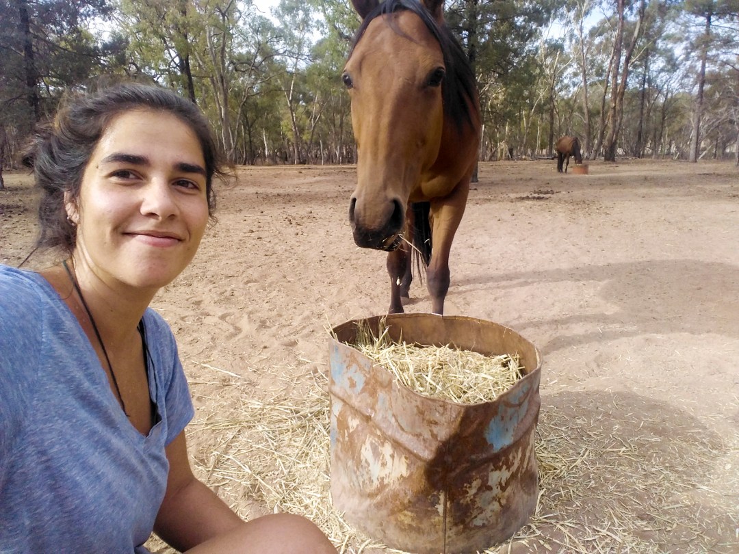 trabajo en la granja